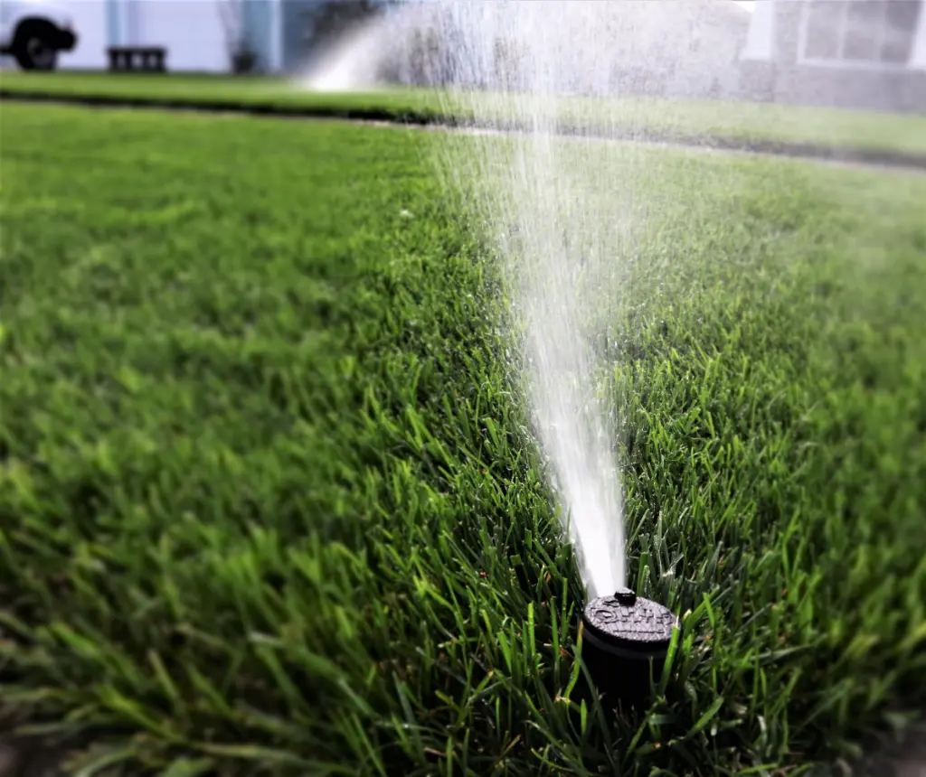 Close-up of a sprinkler sending a fan of water across a green lawn in daylight