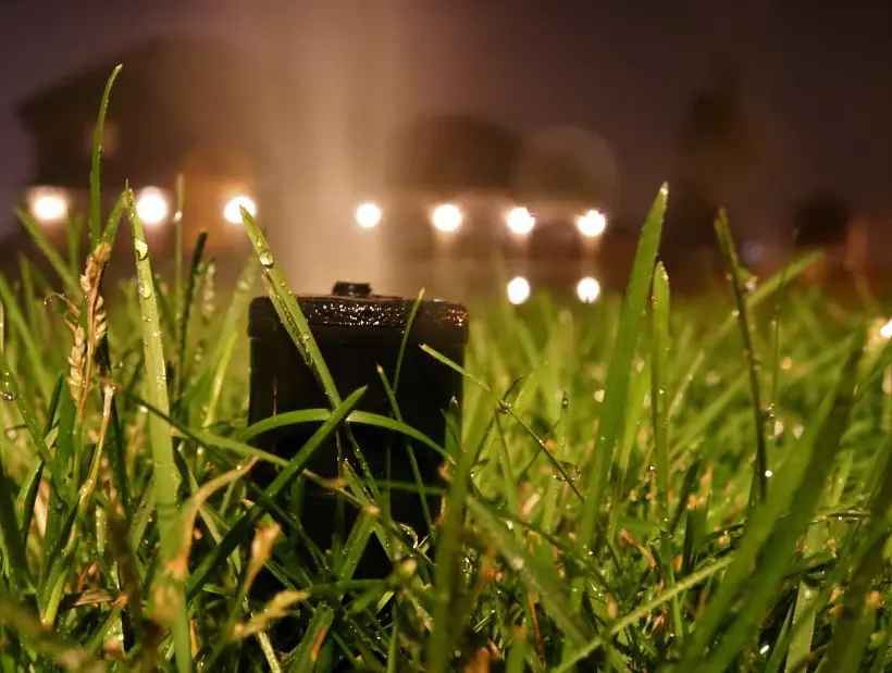 Close-up of a sprinkler and wet grass with warm garden lights at night