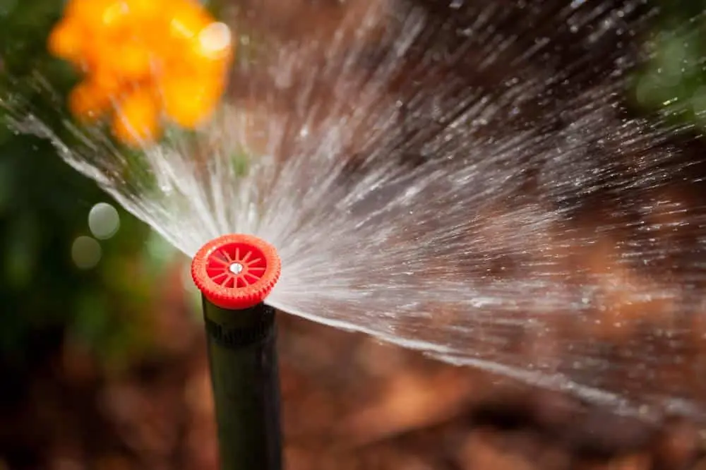 A red sprinkler nozzle sending a broad fan of water across a sunlit garden
