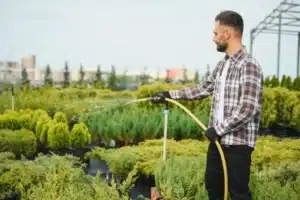 Aqua Lawn and Landscape