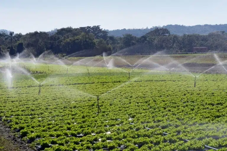 Irrigation Specialists in Fargo 